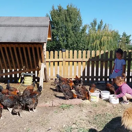 Am Archehof Windbichl Hochgschaid