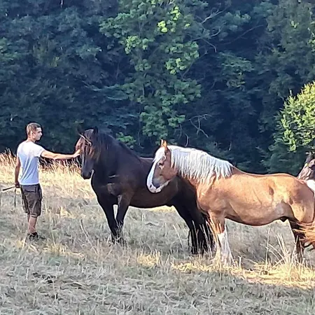Apartment Am Archehof Windbichl Hochgschaid