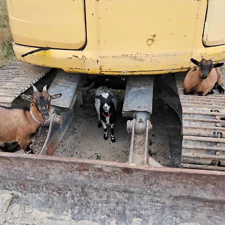 Apartment Am Archehof Windbichl Hochgschaid