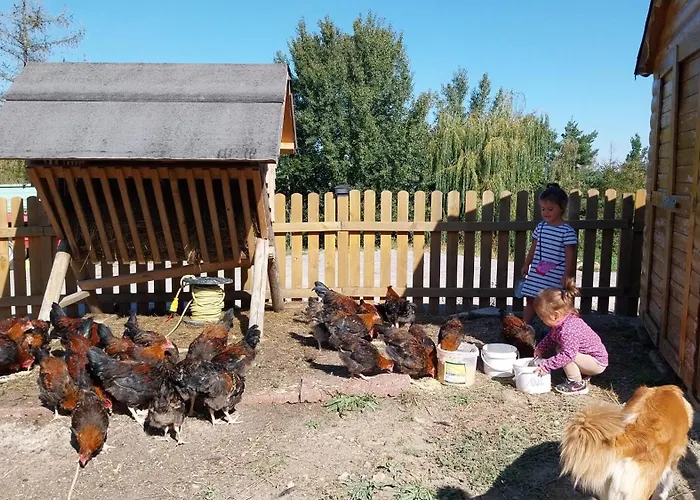 Am Archehof Windbichl Hochgschaid