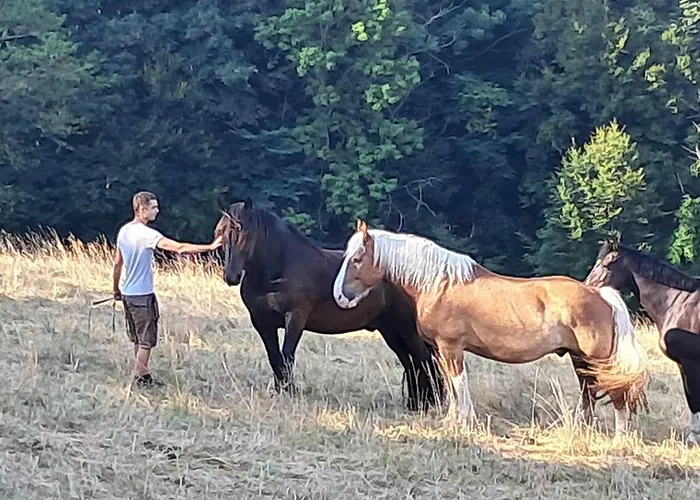 Apartment Am Archehof Windbichl Hochgschaid