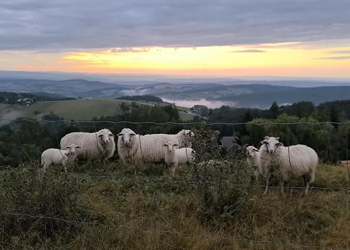 Am Archehof Windbichl * Hochgschaid
