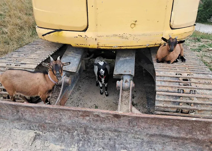 Apartment Am Archehof Windbichl Hochgschaid
